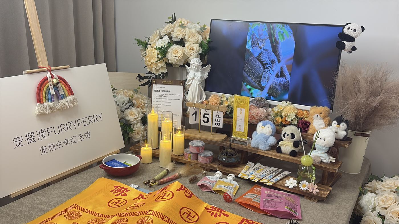 南通宠物告别厅布置：如何给江海家属一个体面的告别
